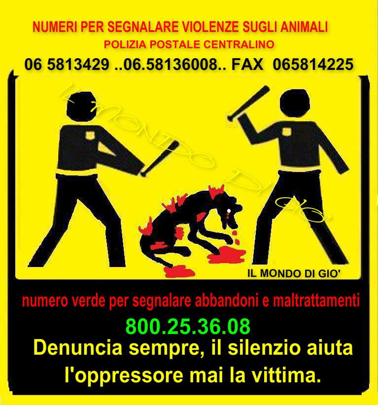 Per Denunciare La Violenza Sugli Animali Dog Pride Day