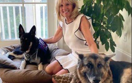 Con Biden alla Casa Bianca tornano i cani: ecco Champ e Major, i nuovi “first dogs” 