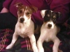 Kira & Otto