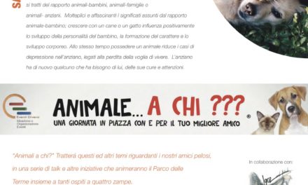 Animale…a chi???