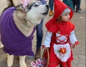 La piccola Agata e il suo cane Yanuk: le più belle maschere di Carnevale!