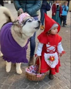 La piccola Agata e il suo cane Yanuk: le più belle maschere di Carnevale!