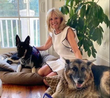 Con Biden alla Casa Bianca tornano i cani: ecco Champ e Major, i nuovi “first dogs” 
