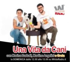 Dog Pride Day 2021 Virtual Walk & Una vita da cani