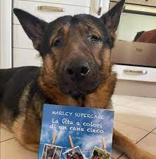 Il libro di Marley Supercane